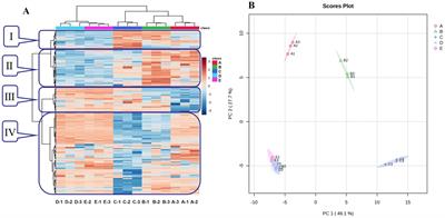 Characterization of the microbial communities and their correlations with volatile flavor compounds and physicochemical factors in Bashang suancai, a traditional Chinese pickle